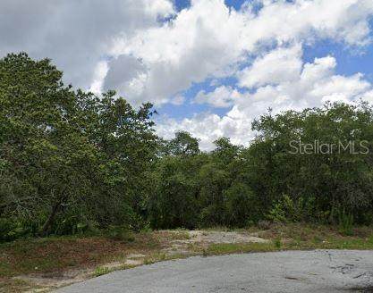 123 Warmouth Lane - Photo 1