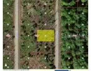 4113 Brendle - Photo 1