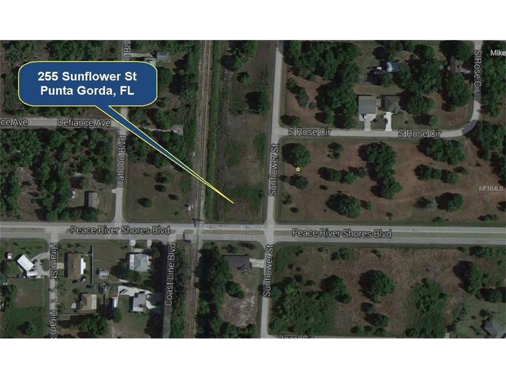 255 Sunflower Street - Photo 1