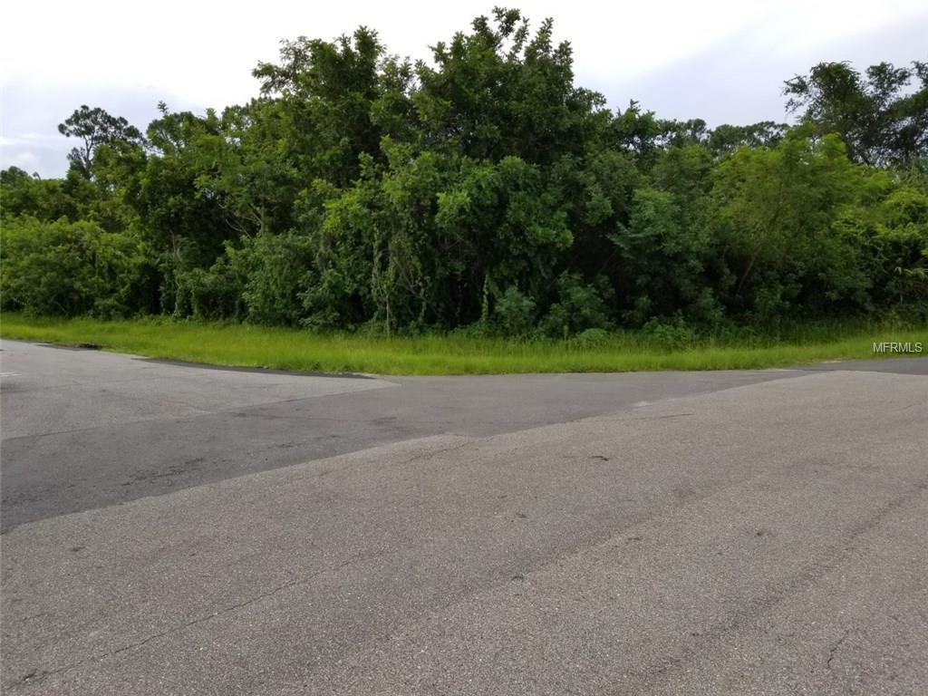 541 Spring Lake Boulevard - Photo 1