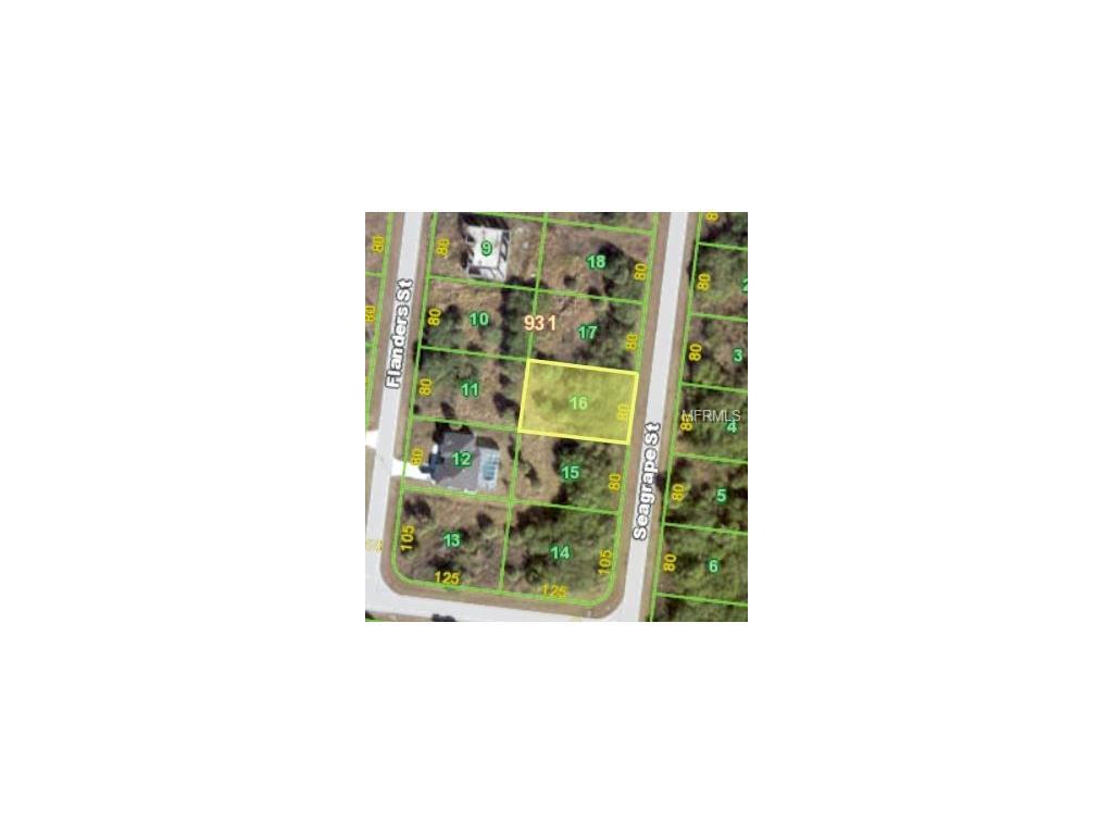 155 Seagrape Street - Photo 1
