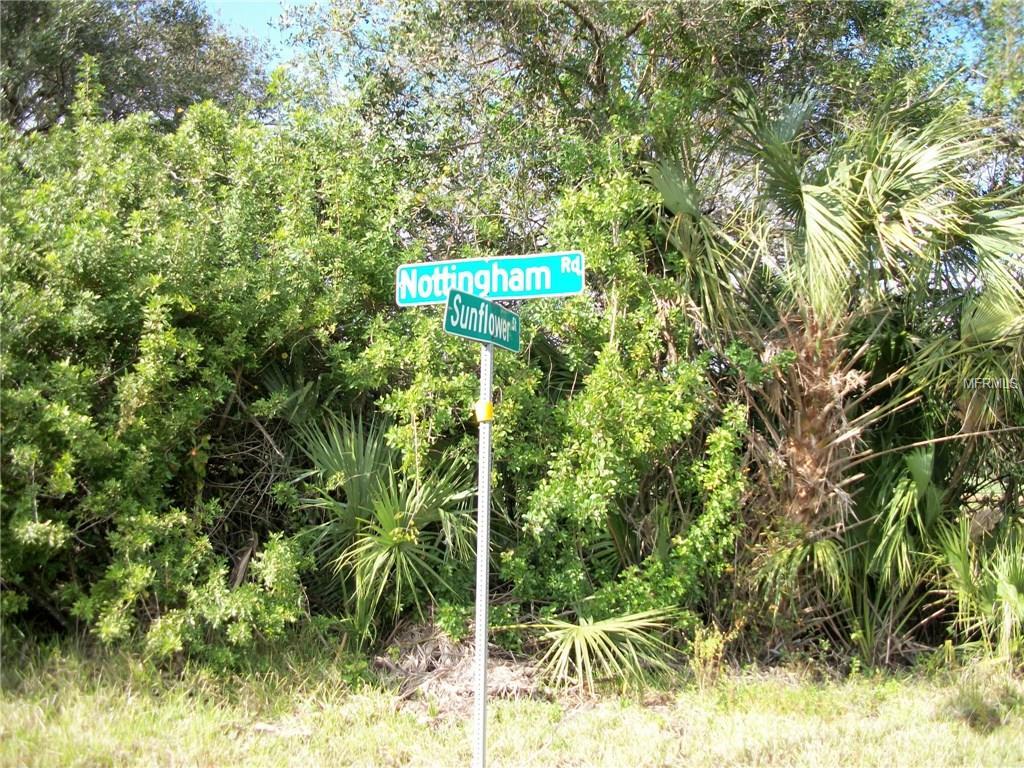 29341 Nottingham Road - Photo 1