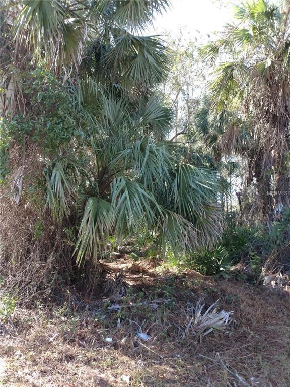 17331 Hillsborough Boulevard - Photo 1