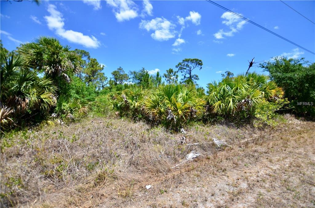 27392 Sandrala Drive - Photo 1