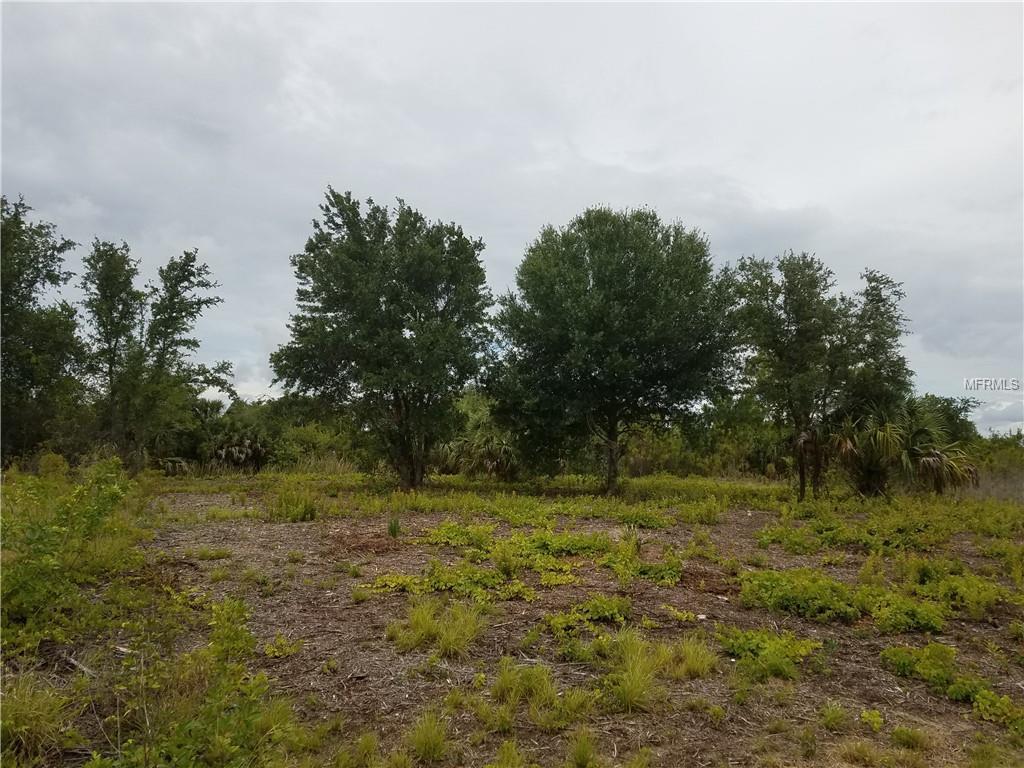 9530 Bluegill Circle - Photo 1