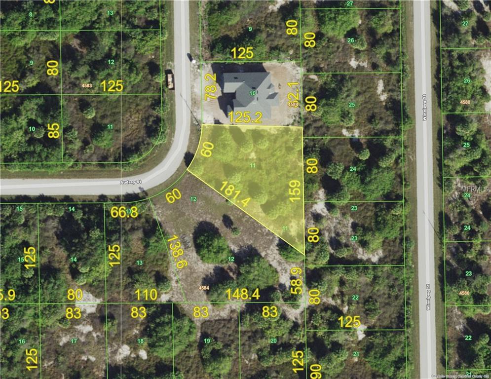 10140 Audrey Street - Photo 1