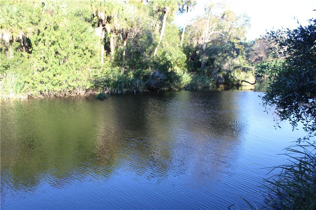 32720 Serene - Photo 1