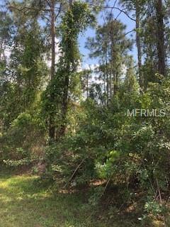 28223 Jacinto Drive - Photo 1