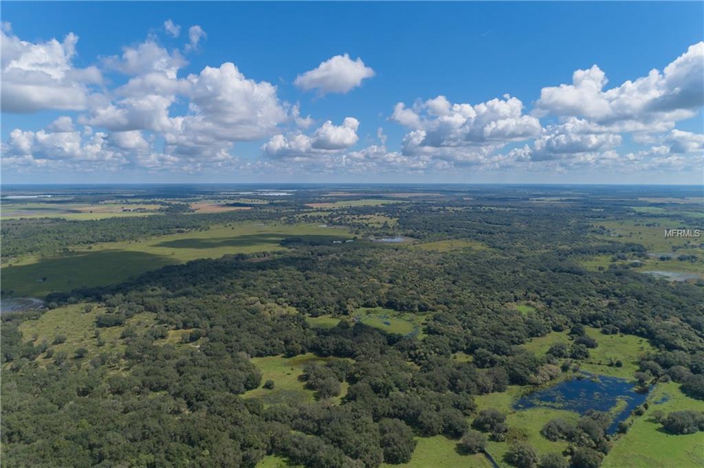 26005 Harrison Road - Photo 1