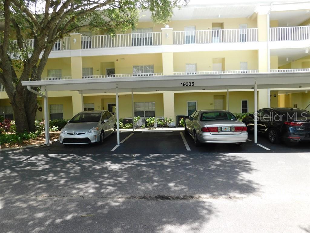 19335 Water Oak Drive - Photo 1