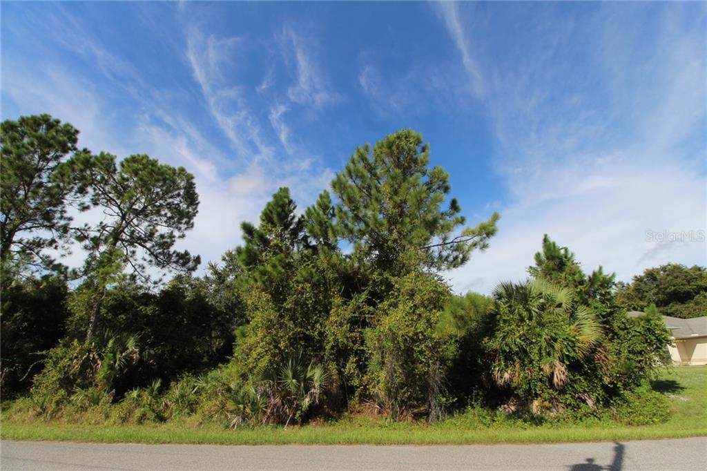 Aliceville Road - Photo 1