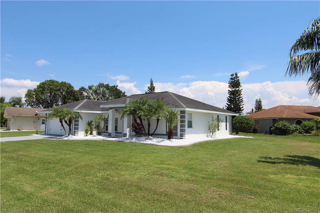 559 Philodendron - Photo 1