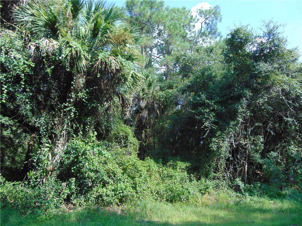 1986 Ibis Street - Photo 1
