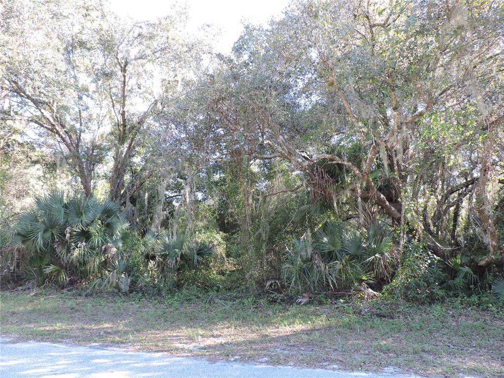 16269 Limerick Avenue - Photo 1