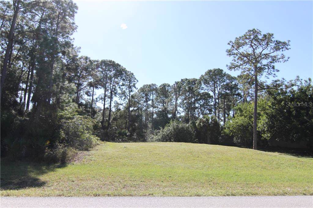 15121 Chamberlain Boulevard - Photo 1