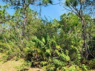 12384 Paramount Drive - Photo 1
