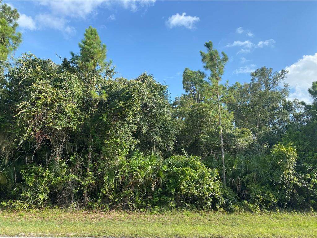 18375 & 18383 Hillsborough Boulevard - Photo 1