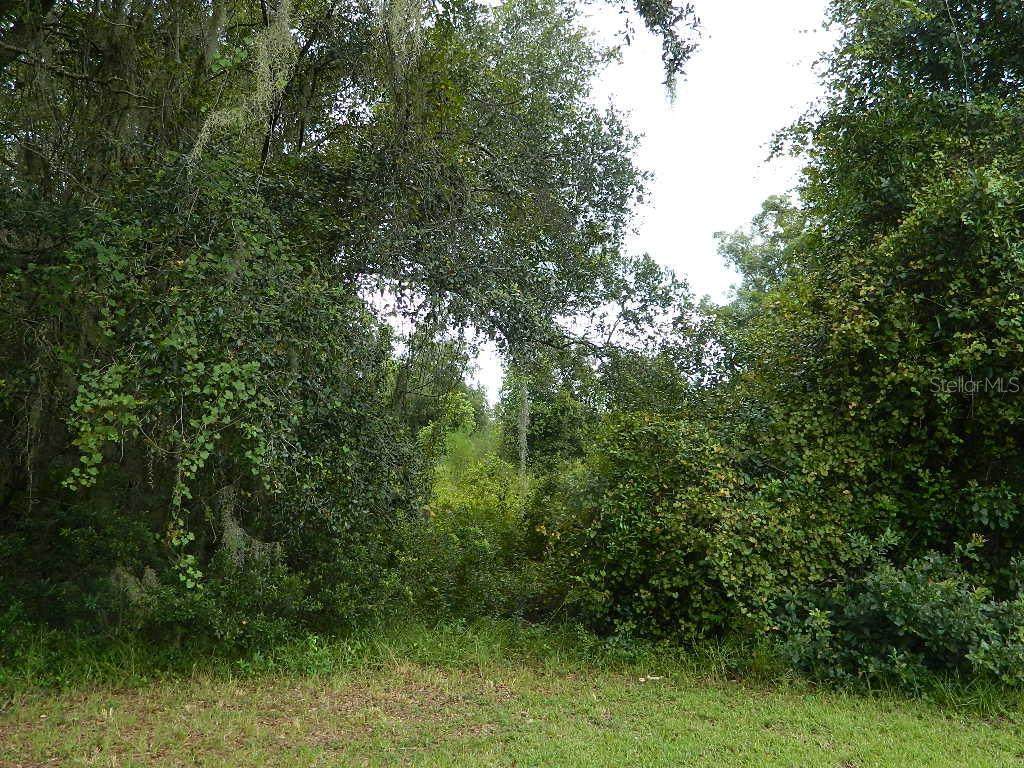 3846 Pineapple Street - Photo 1