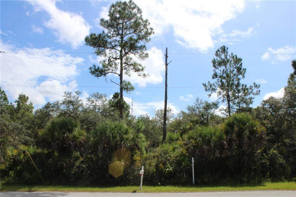Lot 31 Abdella Lane - Photo 1