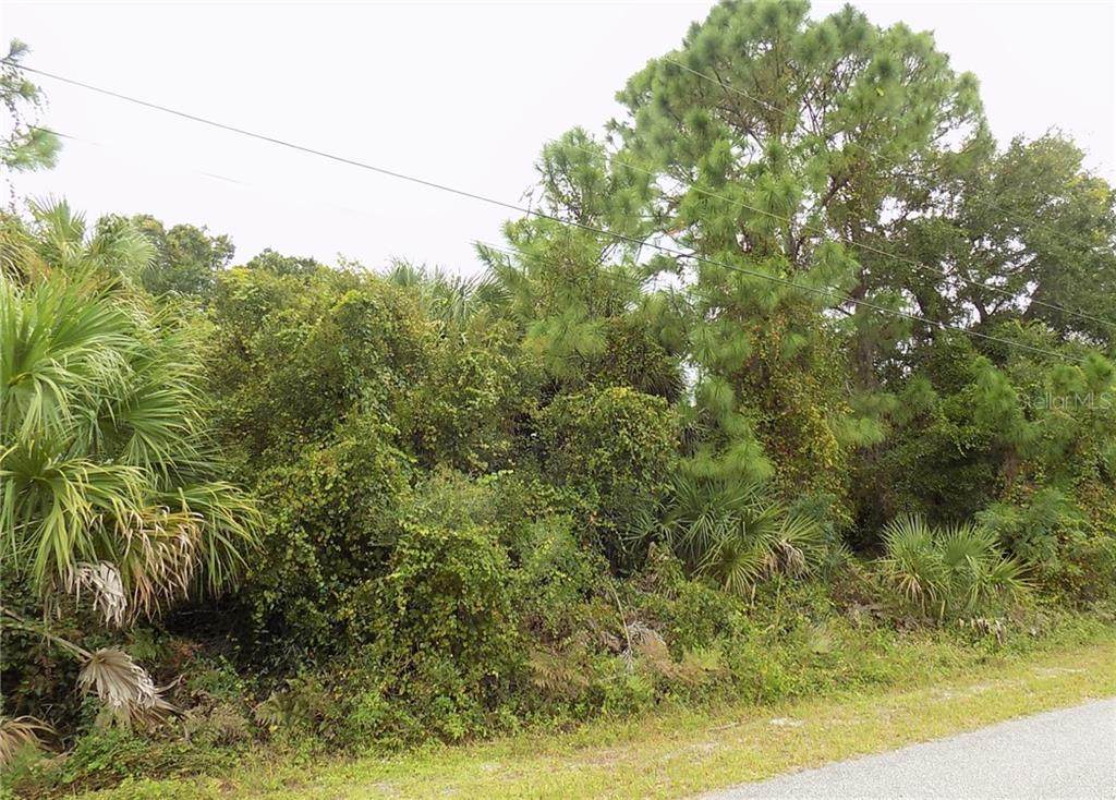Edwin Avenue - Photo 1