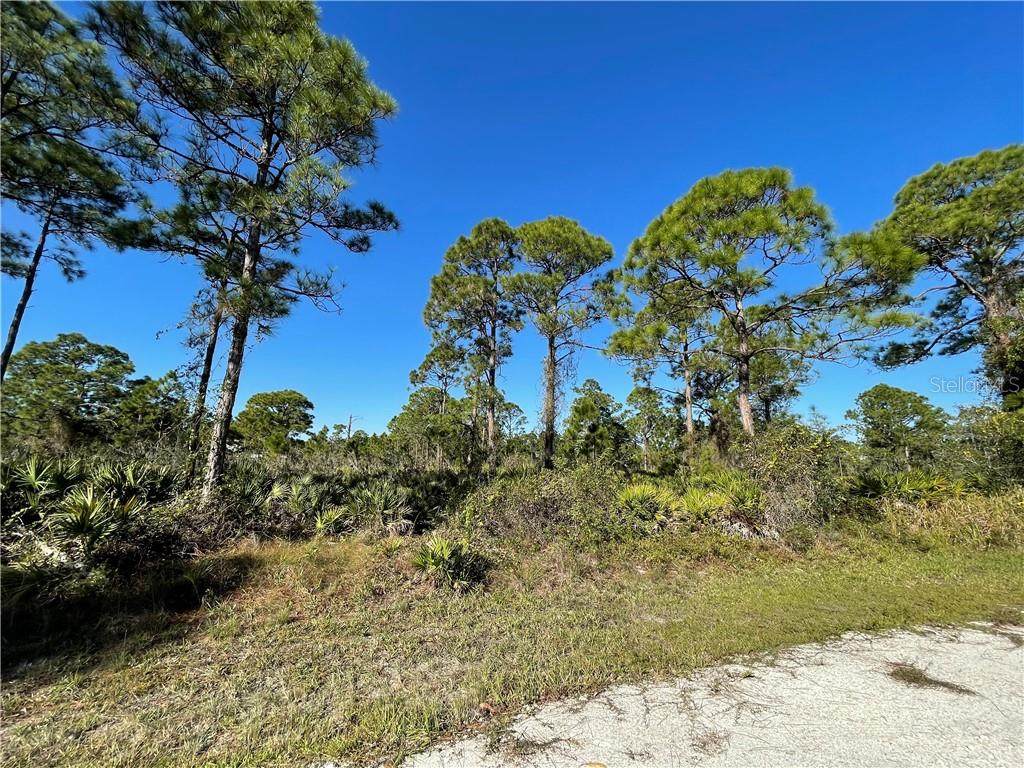 12321 Hindle Avenue - Photo 1