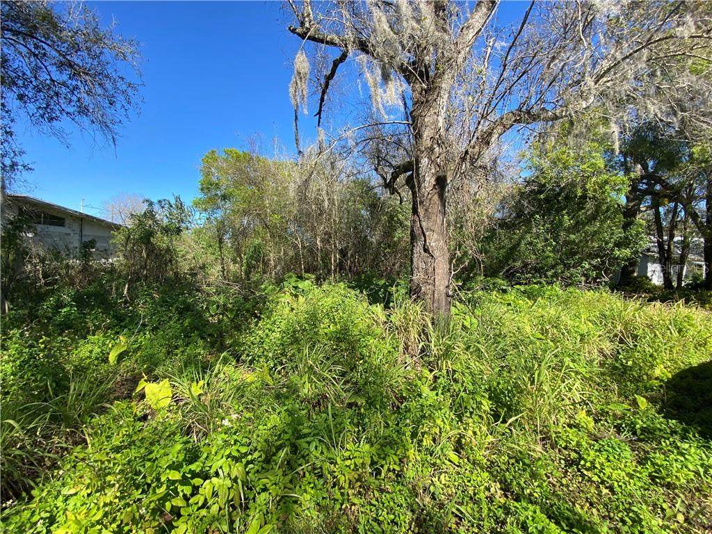2488 Stroud Street - Photo 1