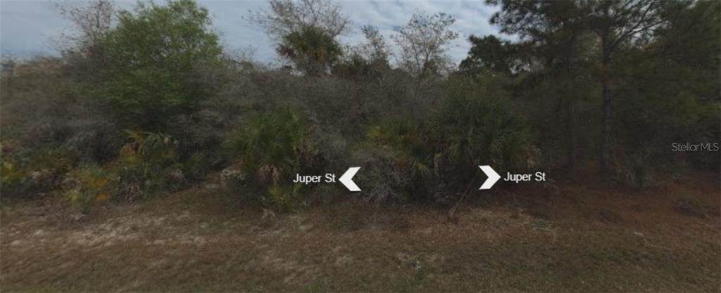 384 Juper Street - Photo 1