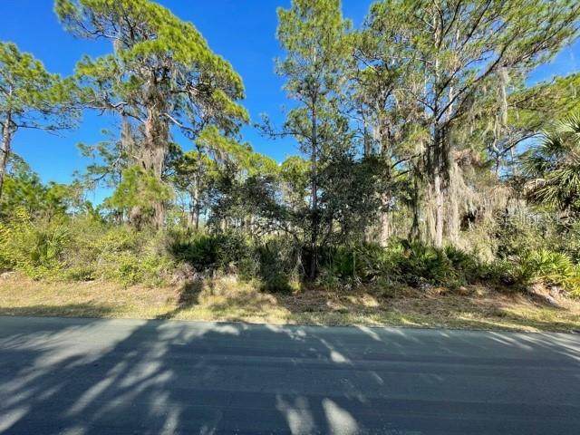 Lots 49 & 50 Solana Street - Photo 1