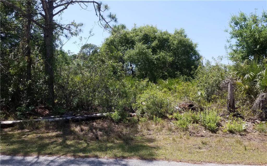3473 El Salvador Road - Photo 1