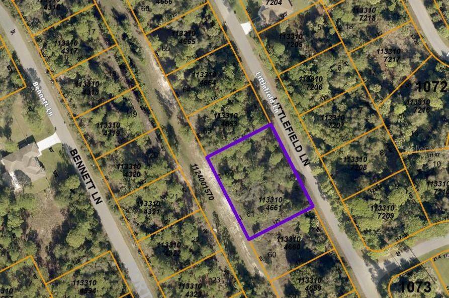Lots 61 & 62 Littlefield Lane - Photo 1