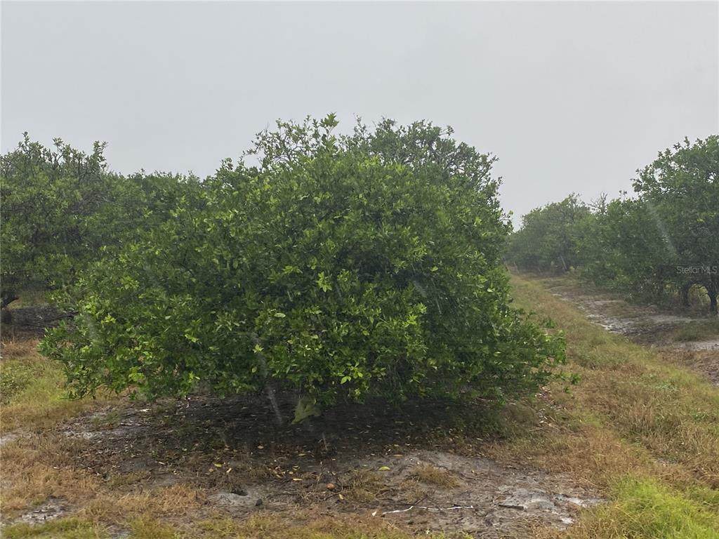 Hwy 70 - Photo 1