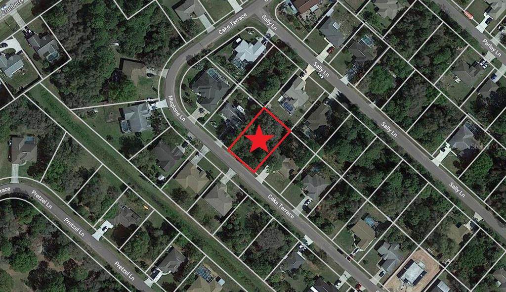 Lot 39 Muglone Lane - Photo 1