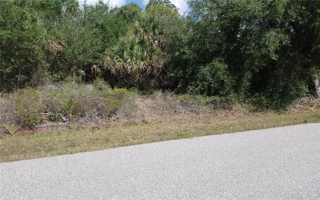 7175 Batavia Street - Photo 1
