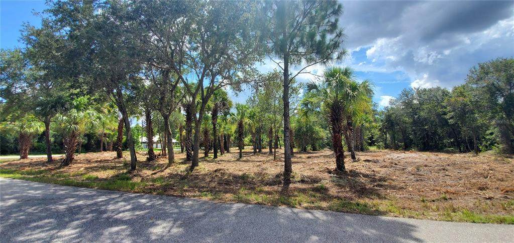 379 & 389 Troutdale Street - Photo 1