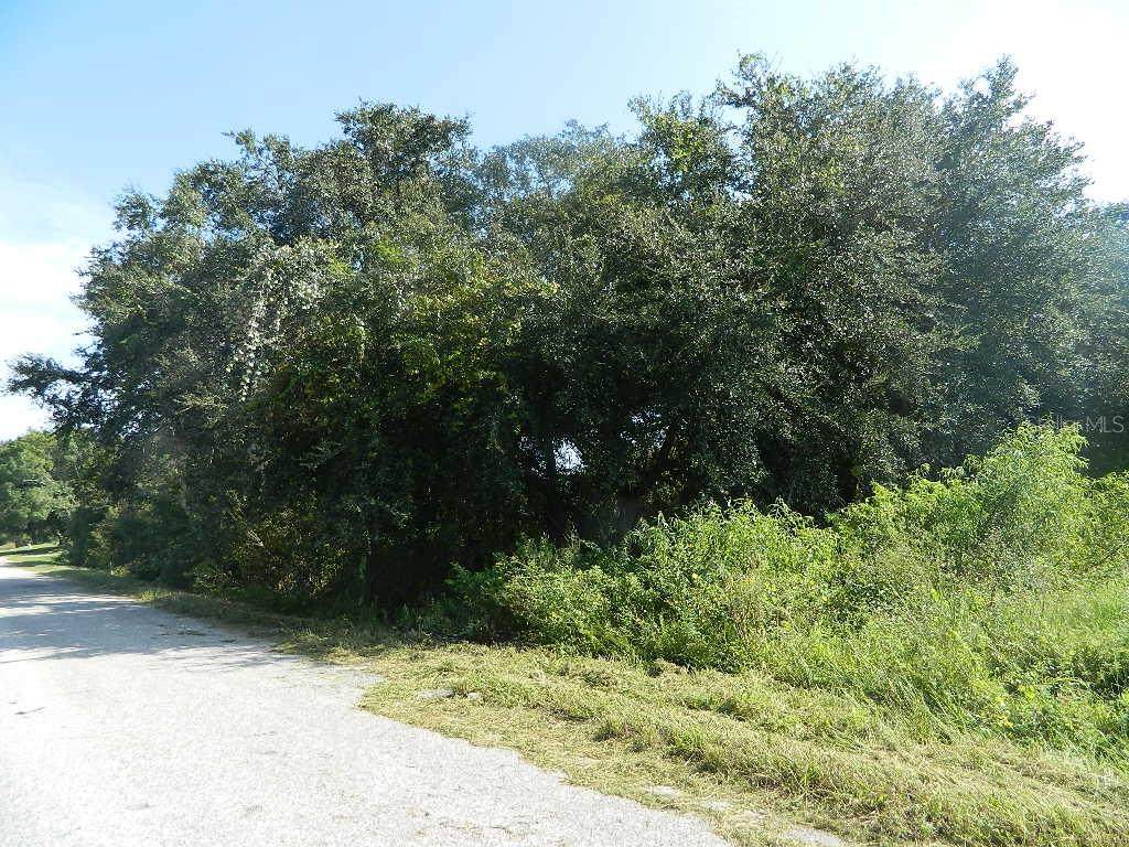 Pine Avenue - Photo 1