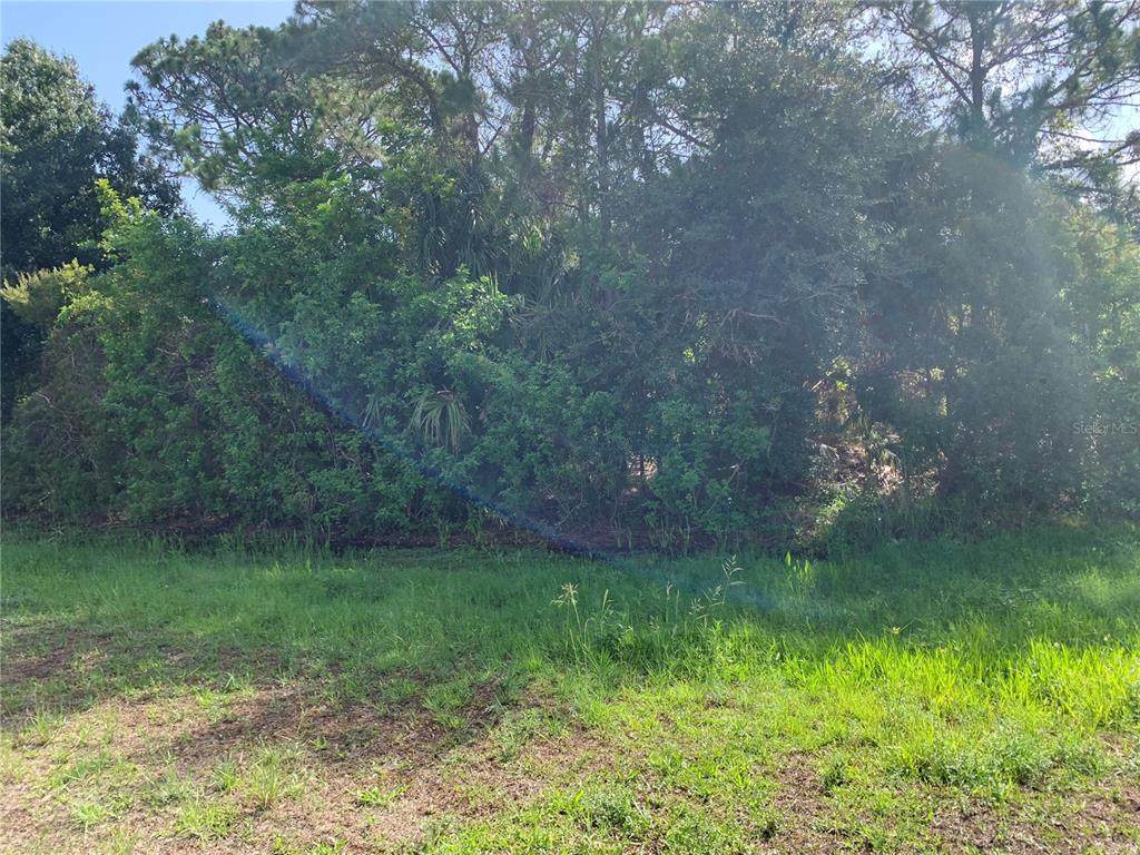 11667 Oceanspray Boulevard - Photo 1