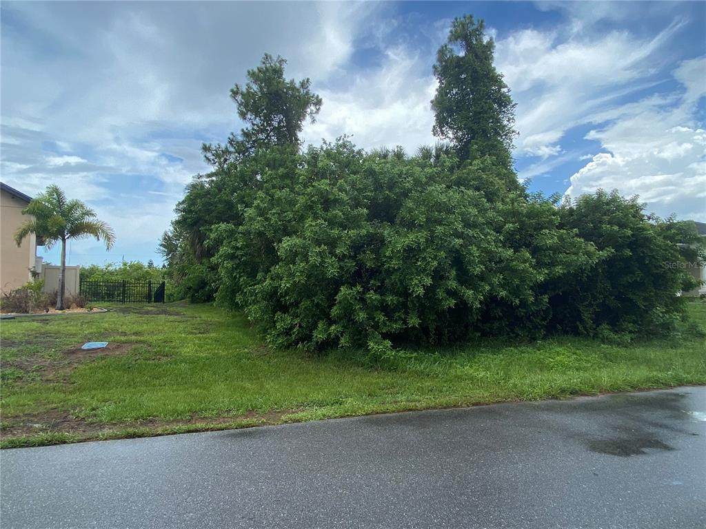 17334 Bayharbor Circle - Photo 1