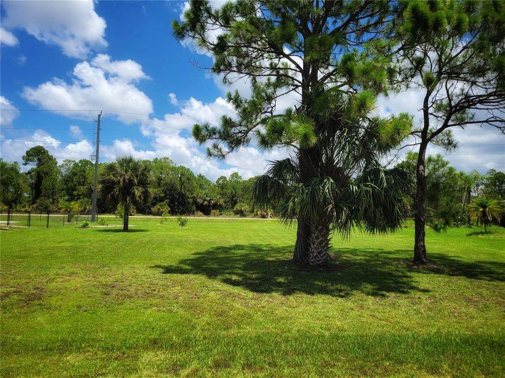 25434 Alicante Drive - Photo 1