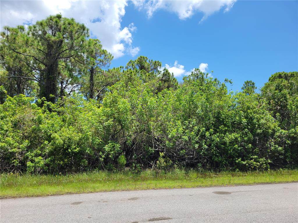 8262 Hebron Road - Photo 1