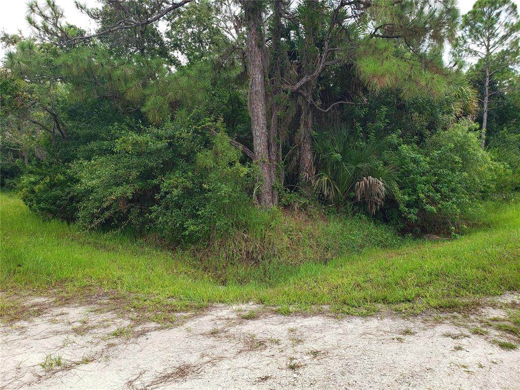 27051 Suede Drive - Photo 1