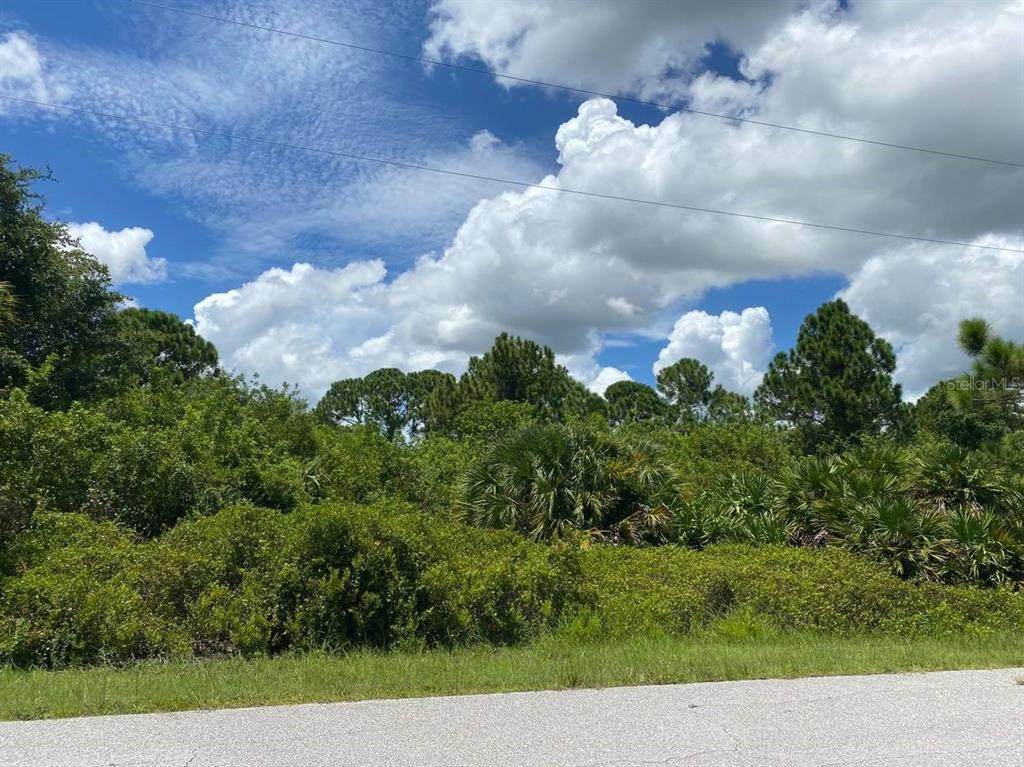 6961 Pinedale Drive - Photo 1