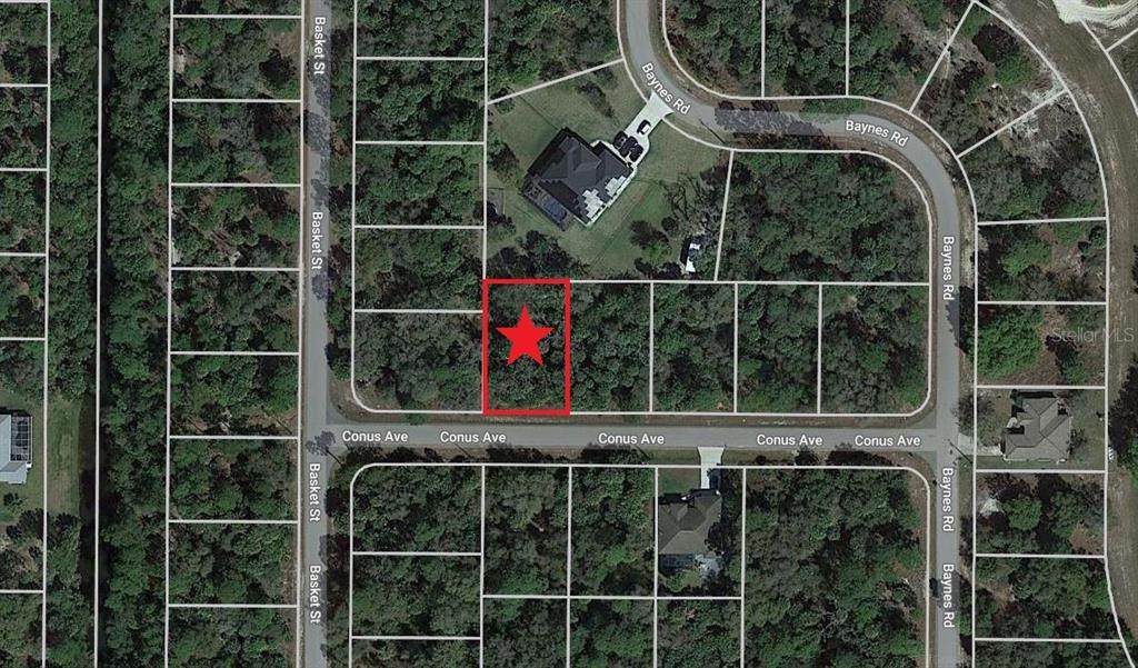 Lot 12 Conus Avenue - Photo 1