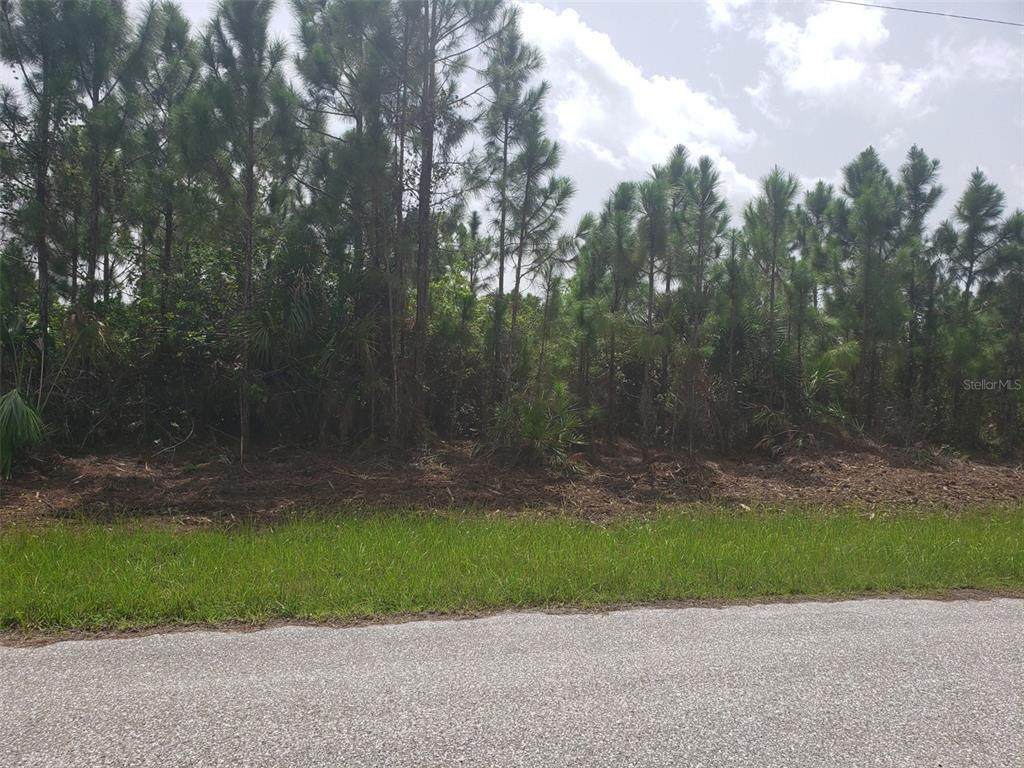 14049 Newson Lane - Photo 1