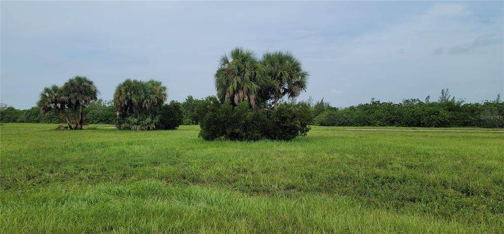 12247 & 12242 Harvestfish Court - Photo 1