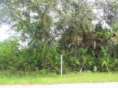 Shrimp Lot 3 Lane - Photo 1