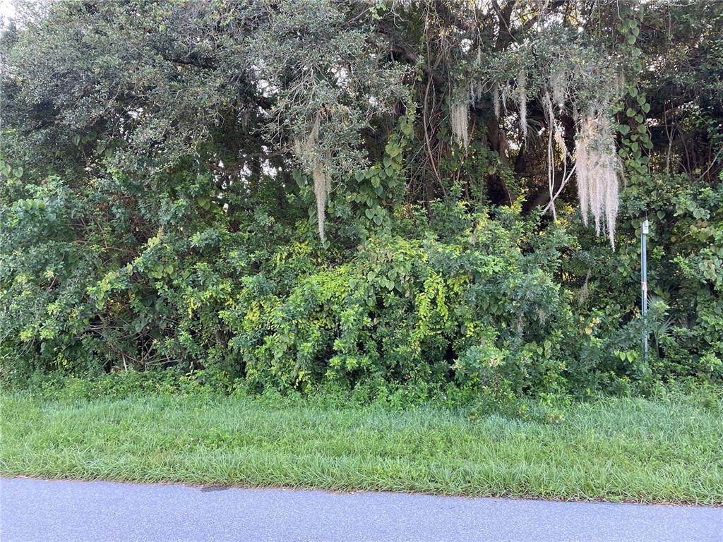 2324 Fintonrod Street - Photo 1
