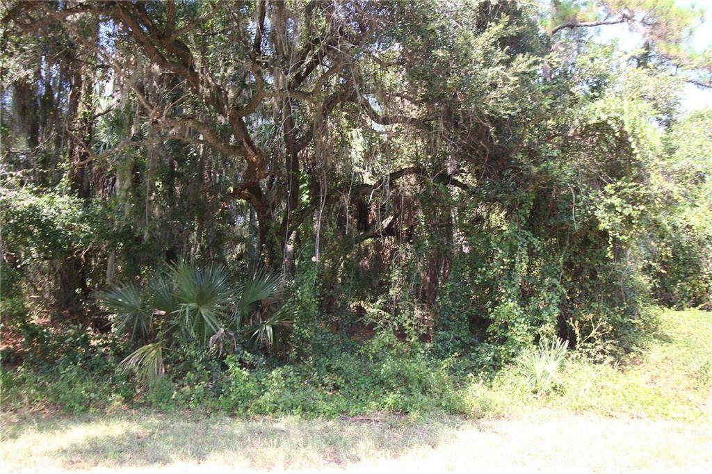 Jeannin Drive - Photo 1
