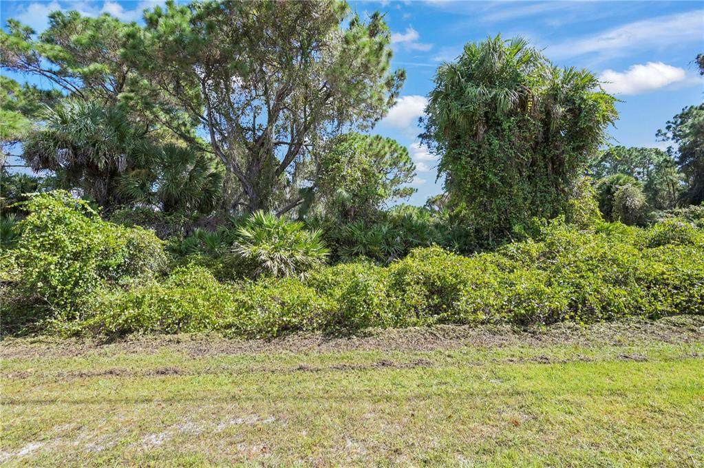 Lot 17 Rolling Road - Photo 1