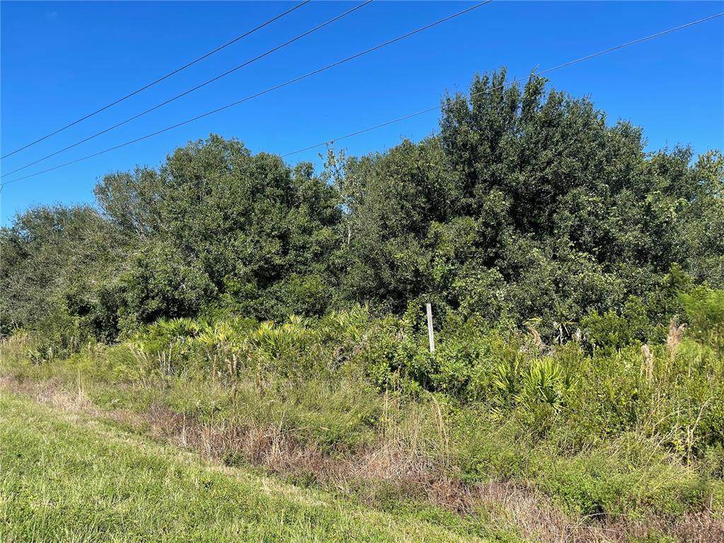 3994 County Road 760A - Photo 1