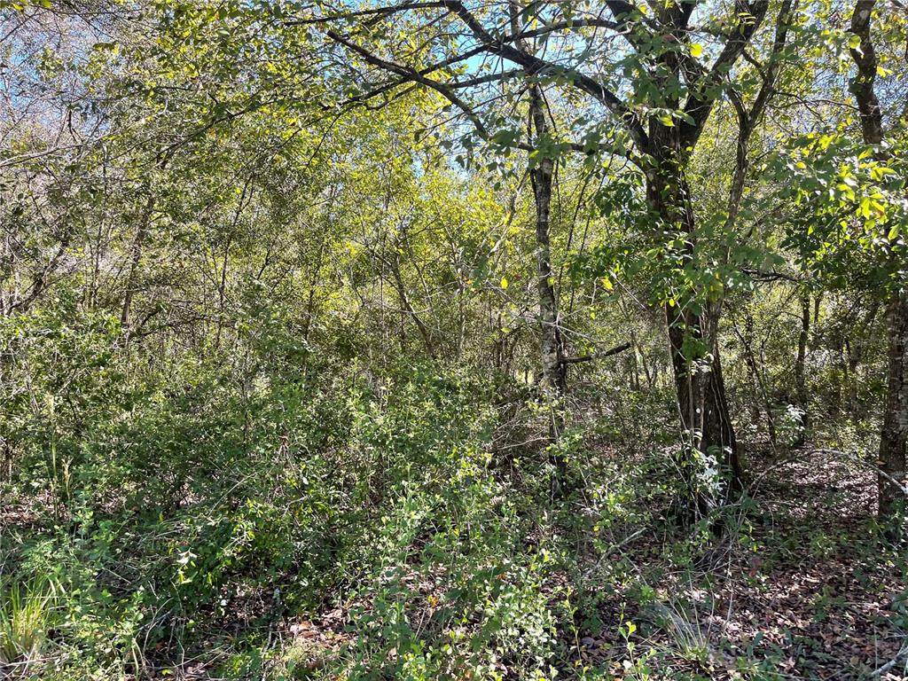 5018 Barley Avenue - Photo 1